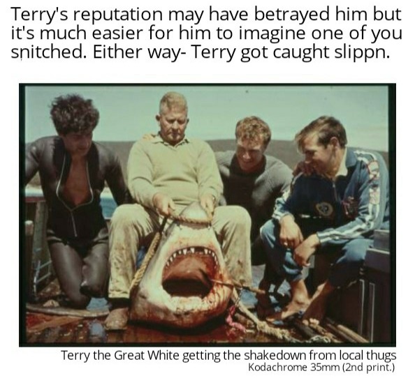 Ol' Terry - meme