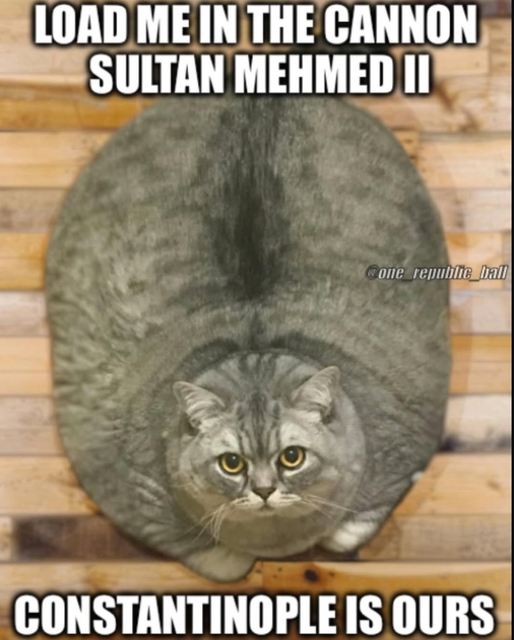 The true WMD - meme