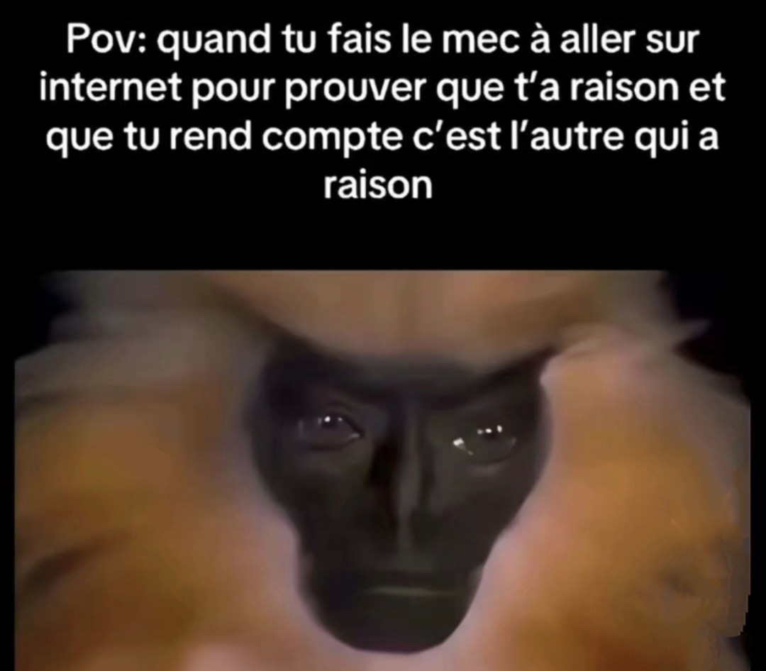 Quand tu veux prouver que t’as raison sur Google et tu découvres que t’as tort - meme