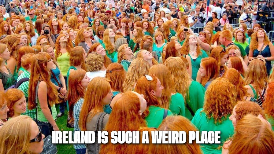 Dublin's annual redhead festival - meme