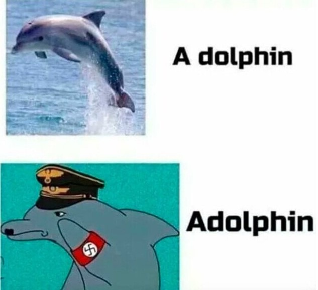 Delfin alemán - meme