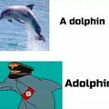Delfin alemán