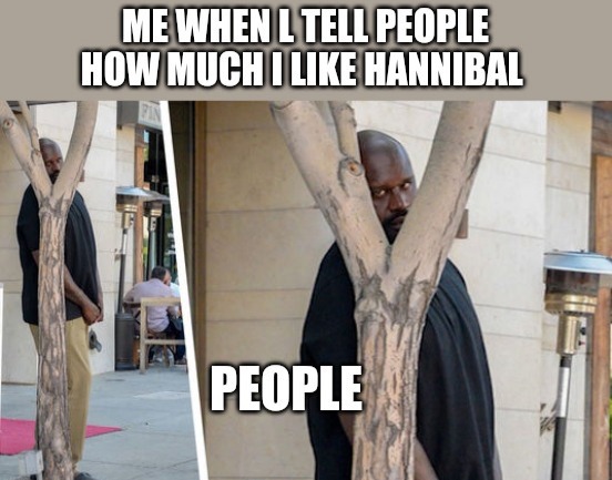 I mean the Carthaginian general Hannibal Barca - meme
