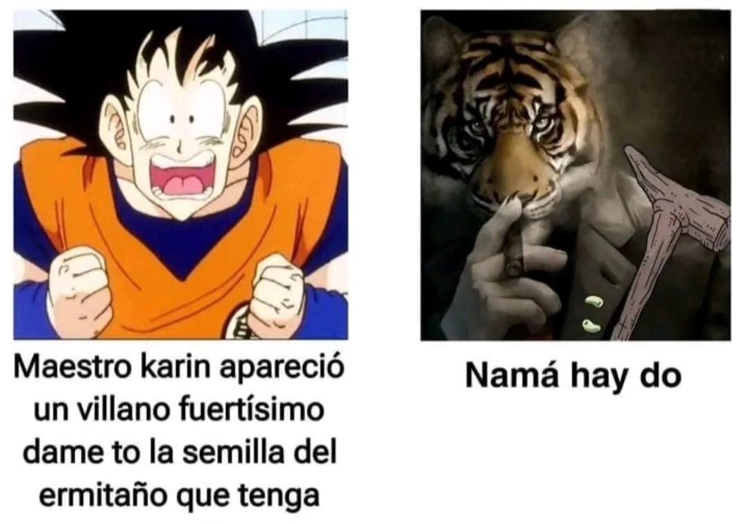 Cada vez que Goku va a pedir semillas del hermitaño - meme