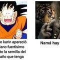 Cada vez que Goku va a pedir semillas del hermitaño