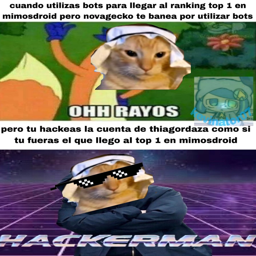 Anas el hackerman - meme