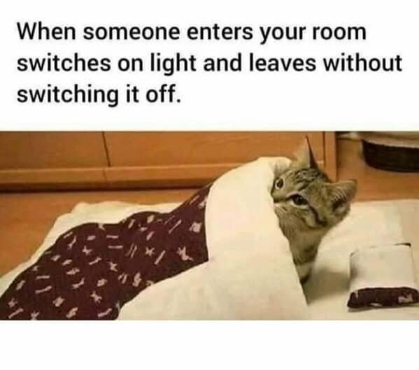 what the hell you doing - meme