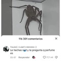 commented item thumbnail
