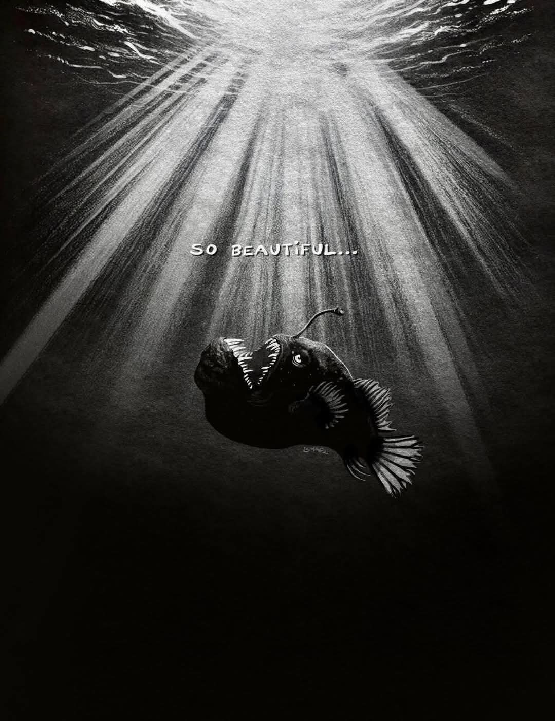 I read that from the size of the fish and the depth it had to come from..  it's been traveling to the surface for a year. - meme