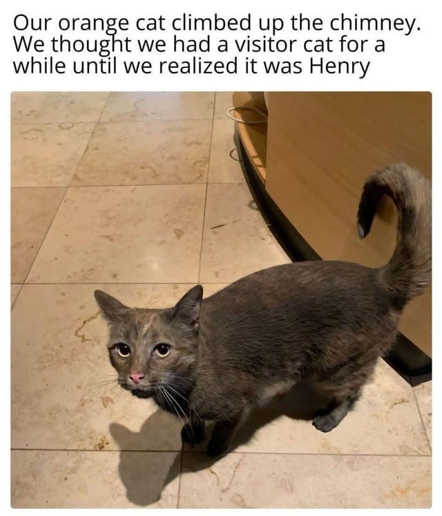 It was Henry - meme