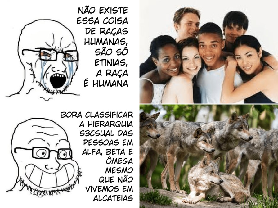 Que comece a treta na biologia - meme