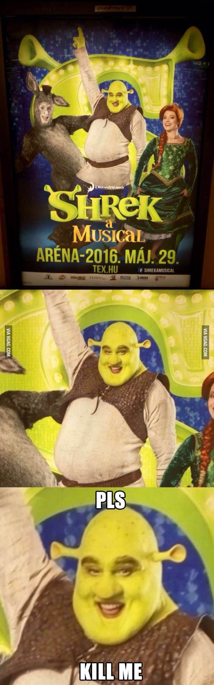 Shrek  - meme