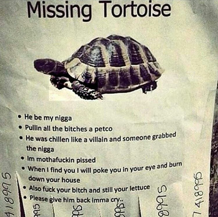 Title was the tortoise - meme