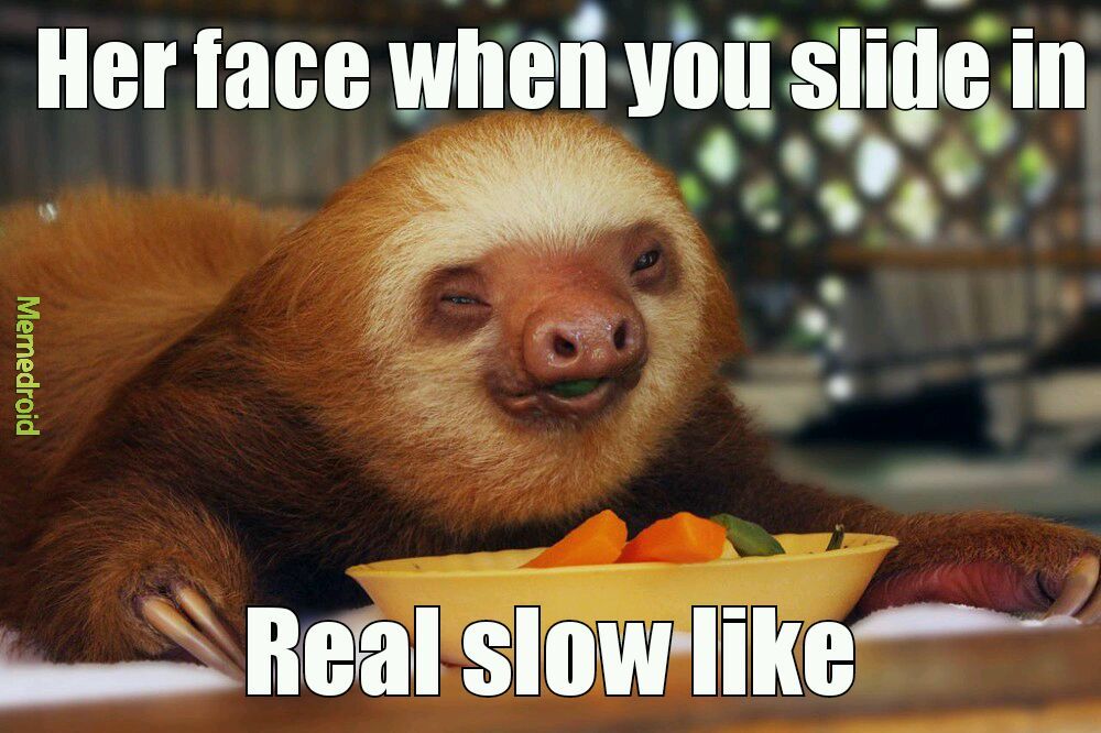 Sloth bitches - meme