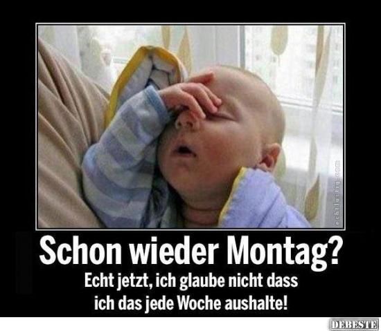 Montag Meme