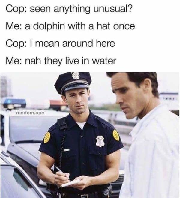 Theres a dolphin RIGHT THERE - meme