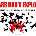 ah shit! more bears!