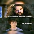 You are a wizard harry.