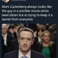 Zuckerberg looks like the bitten guy in a zombie movie
