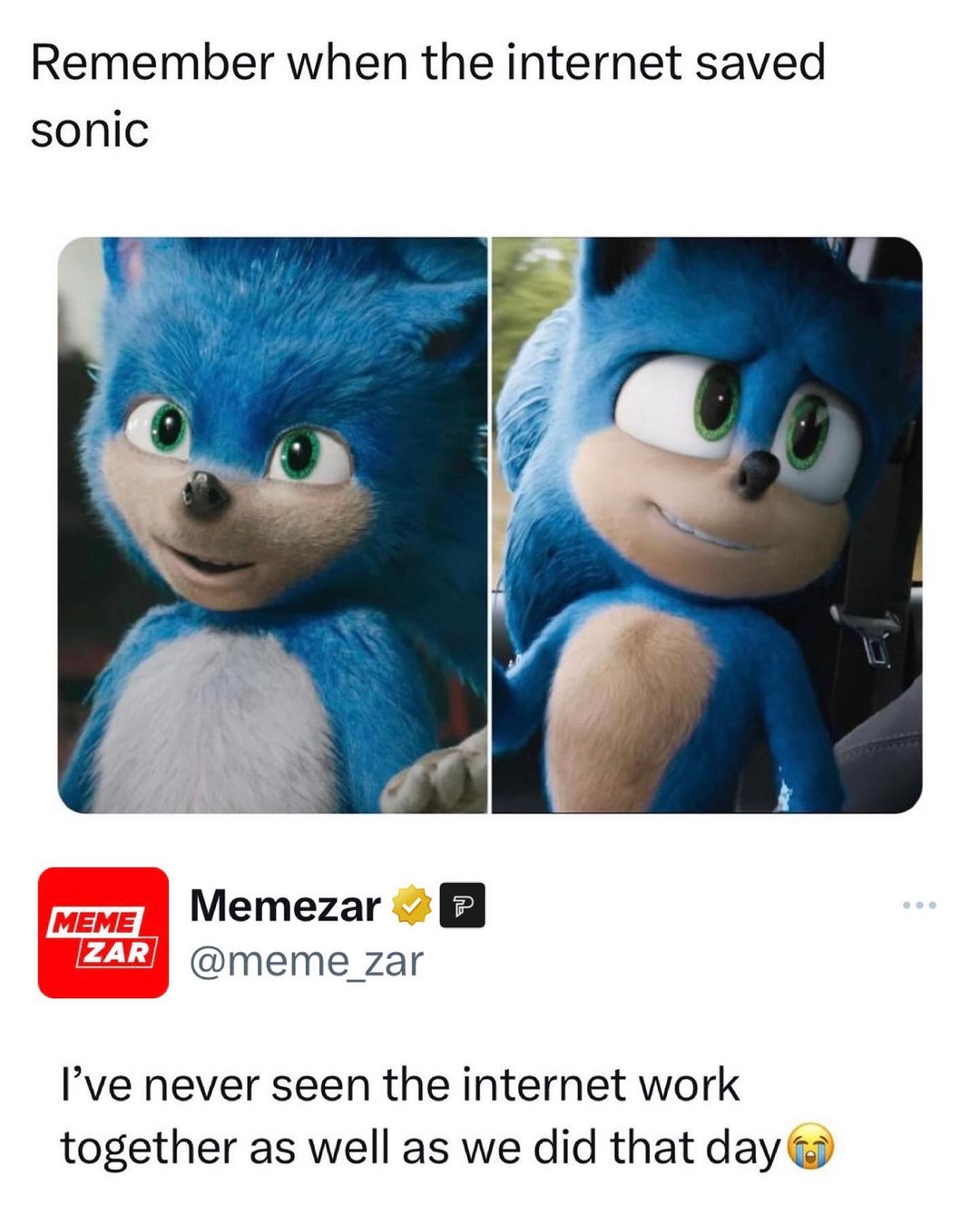 Sonic memes