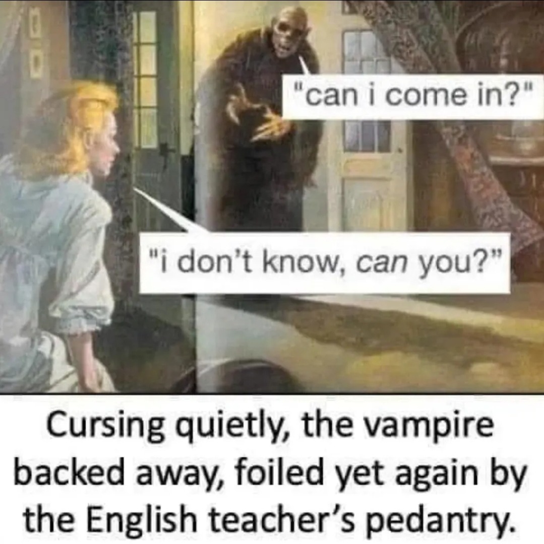 As a English teacher I can confirm that - meme