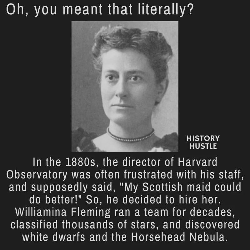 My Scottish maid could do better - meme