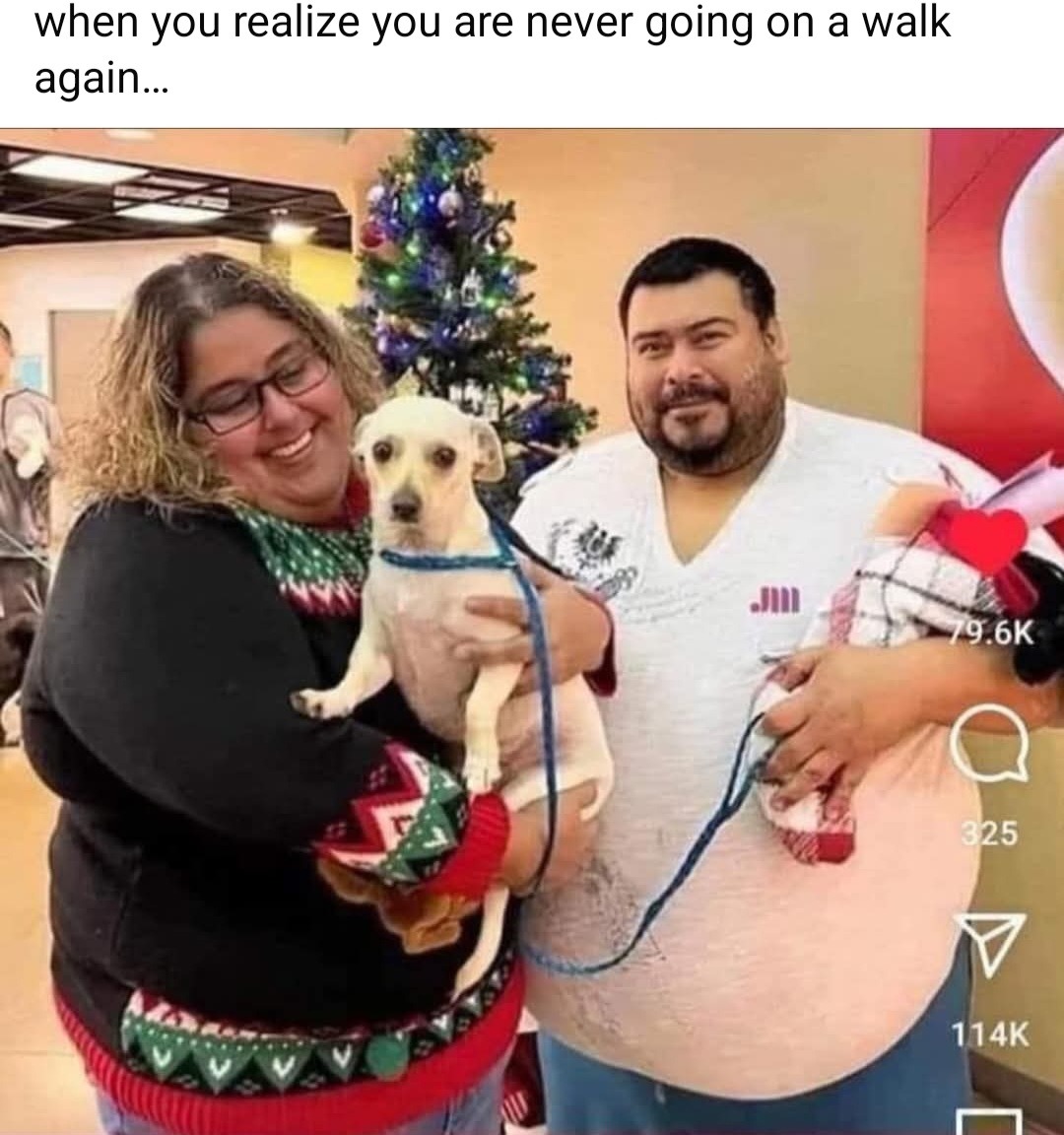 Sad doggo - meme