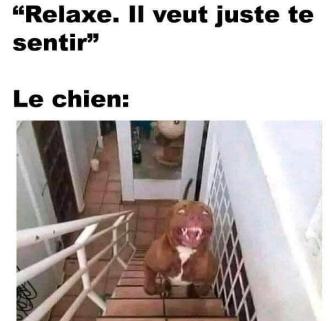 T’inquiète, il veut juste te sentir… - meme