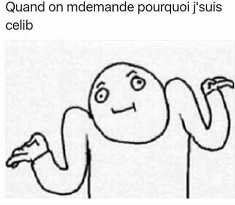 C'est la vie lalalalala - meme