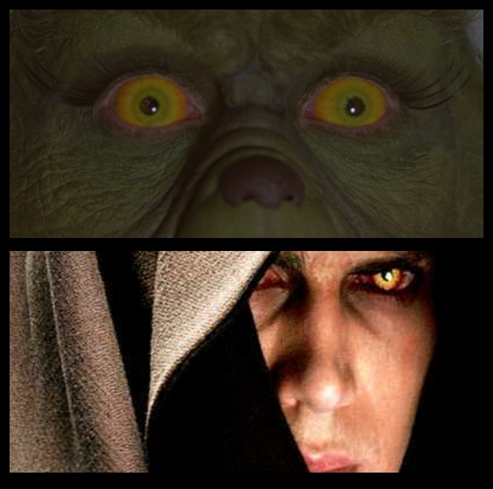 The Ginch is a Sith Lord confirmed!! - meme