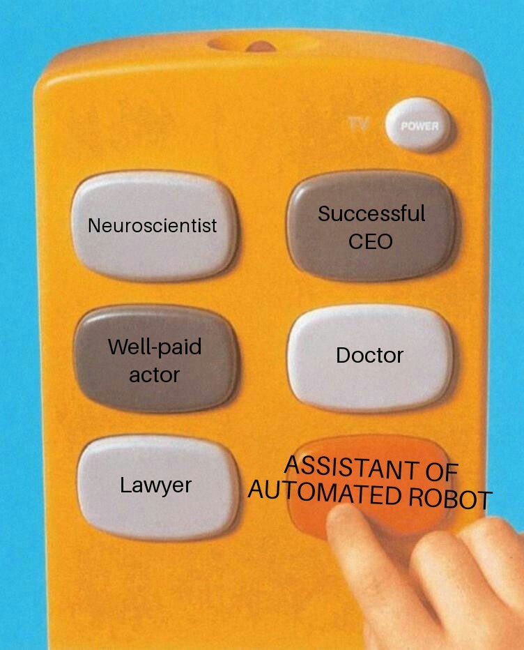 Job choice - meme