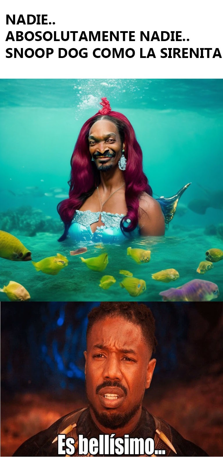 Sirenita Snoop meme