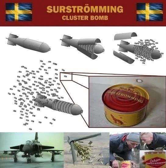 Surtströmming - meme