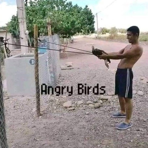 Pássaros raivosos - meme