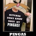 PINGAS meme