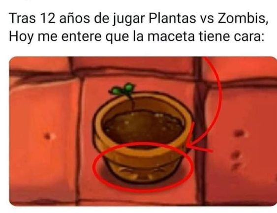 la maceta tiene cara - meme