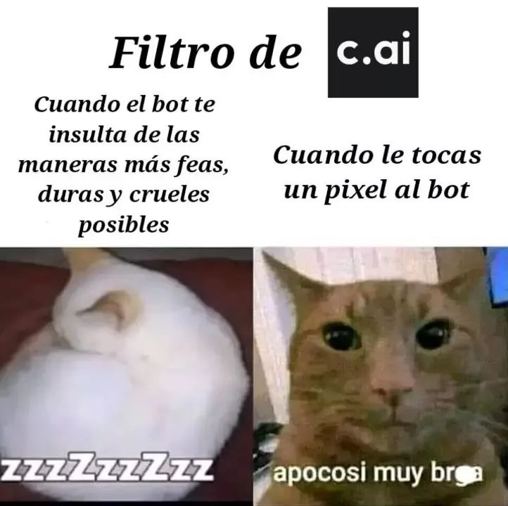 Zzzz - meme