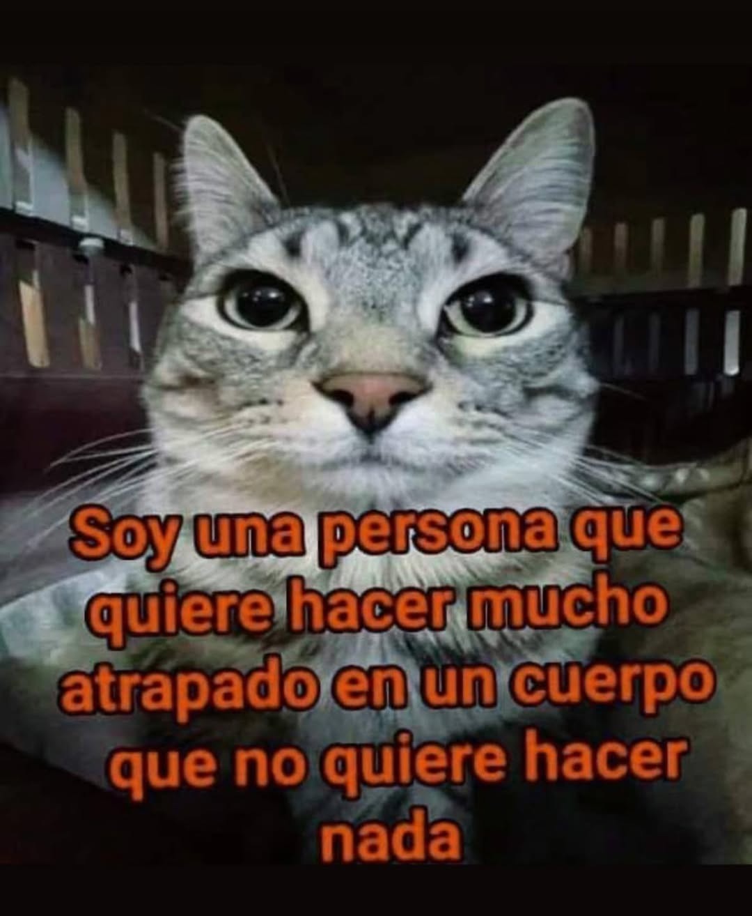 una mente con ganas atrapada en un cuerpo que no quiere nada - meme