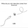 more bee puns