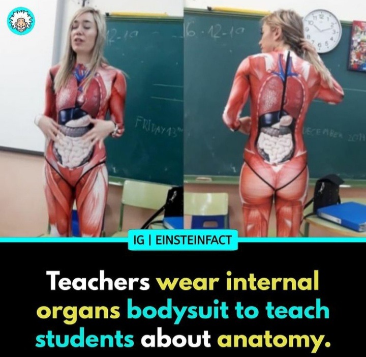 Anatomy - meme