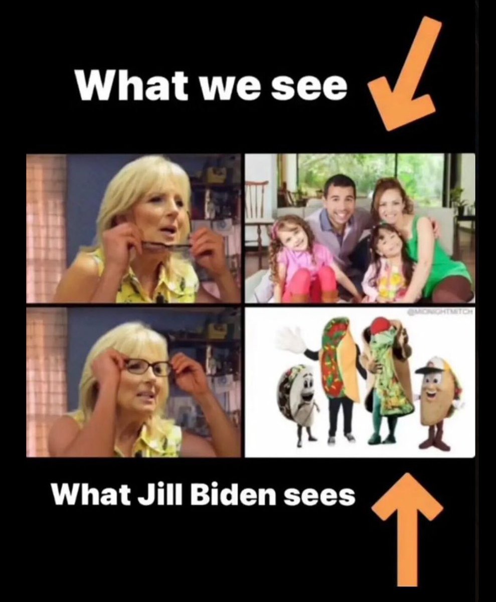 What Jill Biden Sees - meme