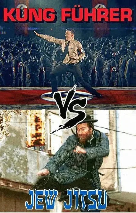 Kung fu vs Jiujitsu - meme