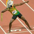 Bolt ou Bolt?