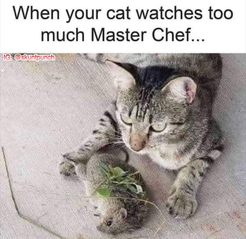 chef - meme