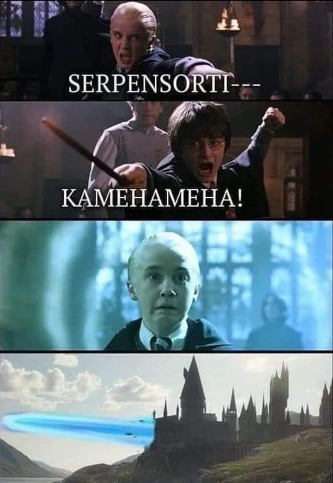 Harry Potter and the Dragon Ball - meme