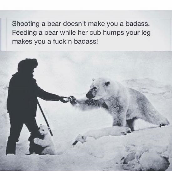 Yea! go feed bears ppl its awsome - meme