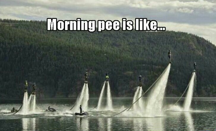 morning pee - meme