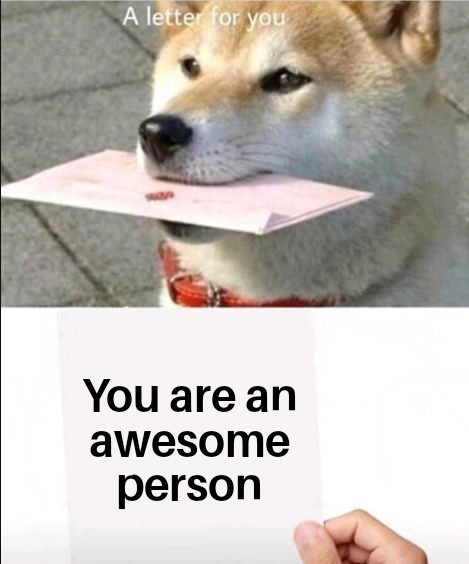 You are awesome - meme