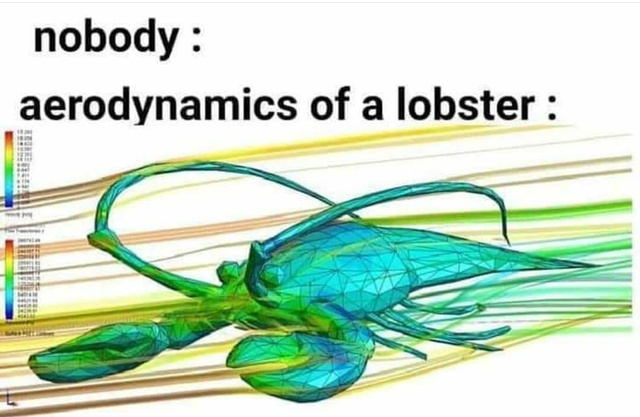 Aerodynamics of a lobster - meme