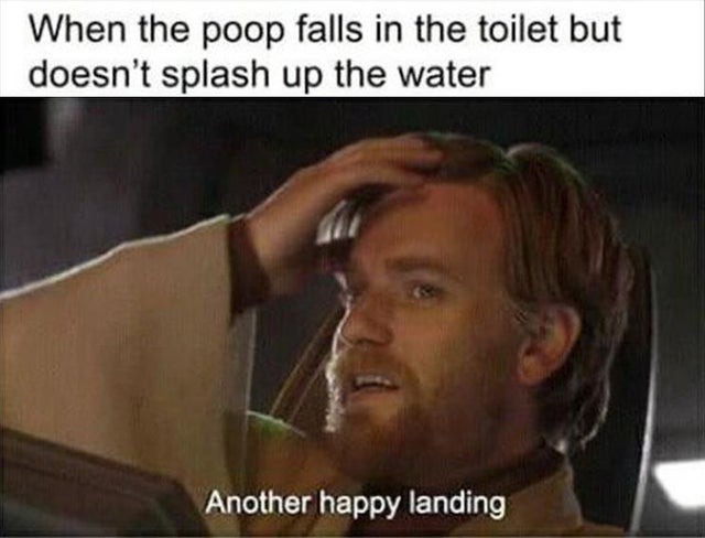 another happy landing - meme